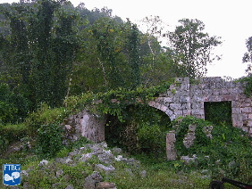 Uphill View